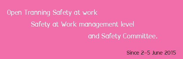Open Training Safety at work Safety at Work management level and Safety Committee.